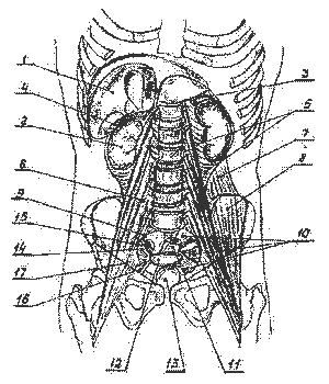 wpe3.jpg (17927 bytes)